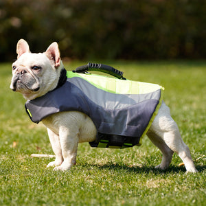 Reflective Pet Life Jacket Swimsuit: Safety Meets Style