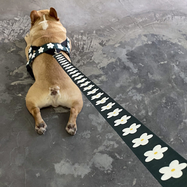 The Ultimate Pet Vest Style Harness With Durable Walking Leash