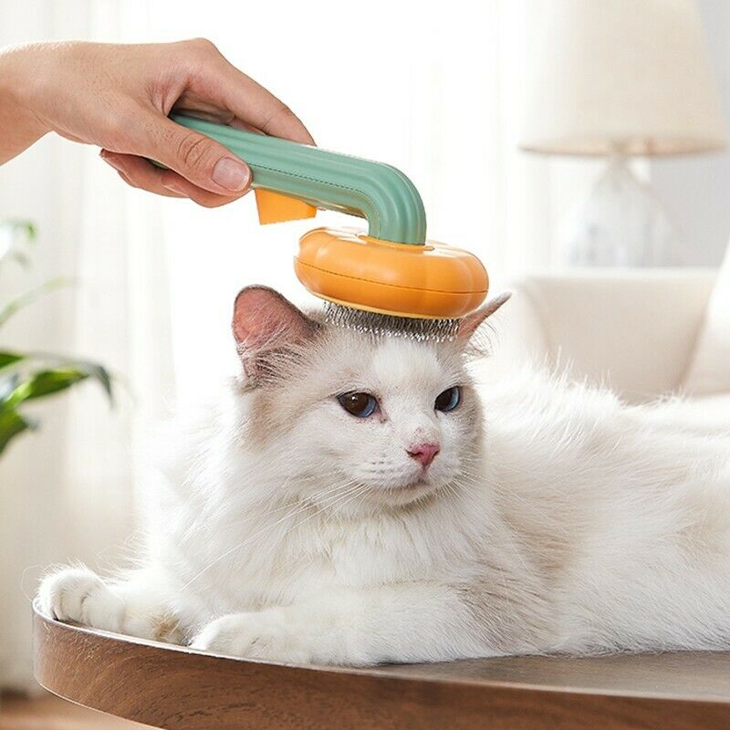 Transform Grooming Time with the Self Cleaning Pet Slicker Brush