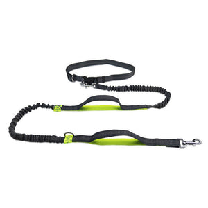 Experience Comfort and Safety with the Adjustable Pet Harness Collar And Jogging Leash Set