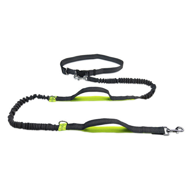 Experience Comfort and Safety with the Adjustable Pet Harness Collar And Jogging Leash Set