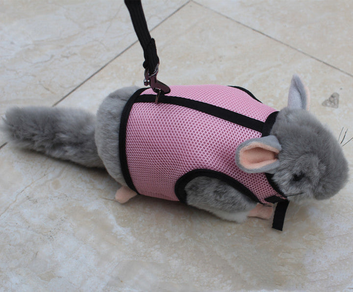 Discover the Ultimate Small Pet Leash for Comfortable Daily Walking