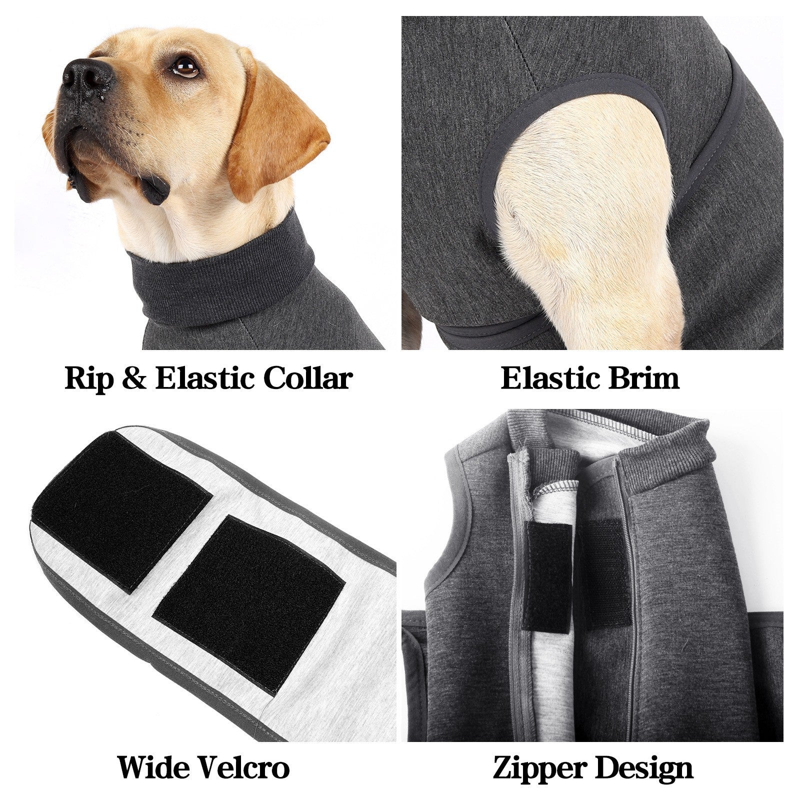 The Ultimate Comfort for Your Pet: Polyester Cotton Double Jacket
