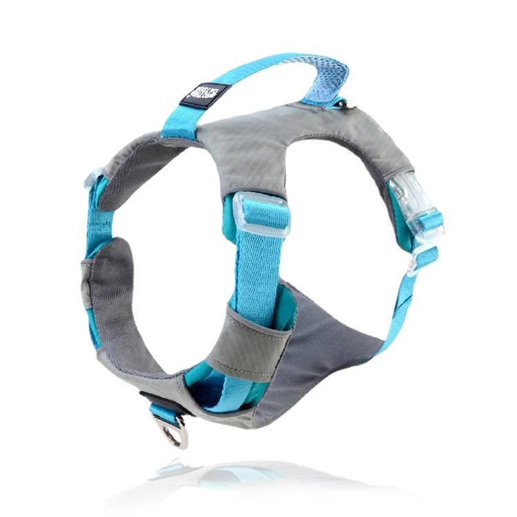 e587a5c08ea78409af7b85c441f64e2e